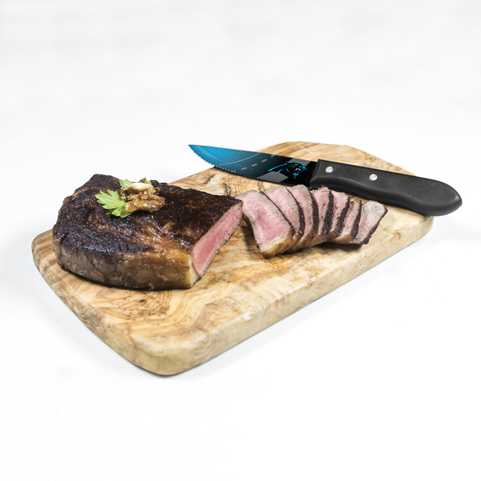 NFL  Carolina Panthers 4-pc Steak Knives