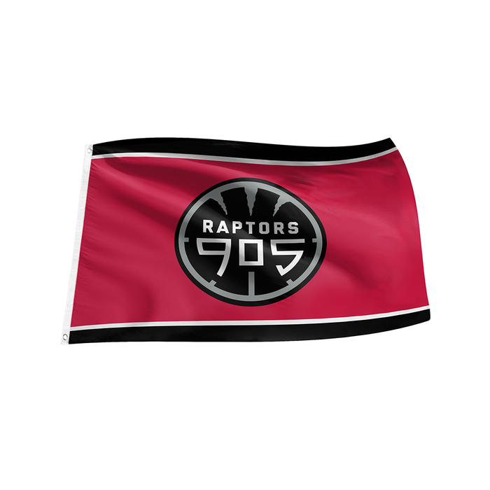 Toronto Raptors 3x5 905 Flag with Grommets