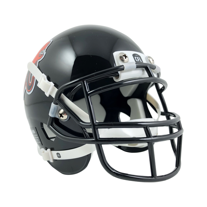 CFL BC Lions  Mini Replica Helmet