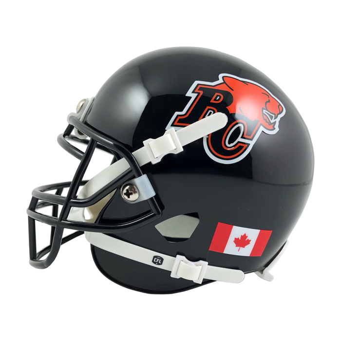 CFL BC Lions  Mini Replica Helmet