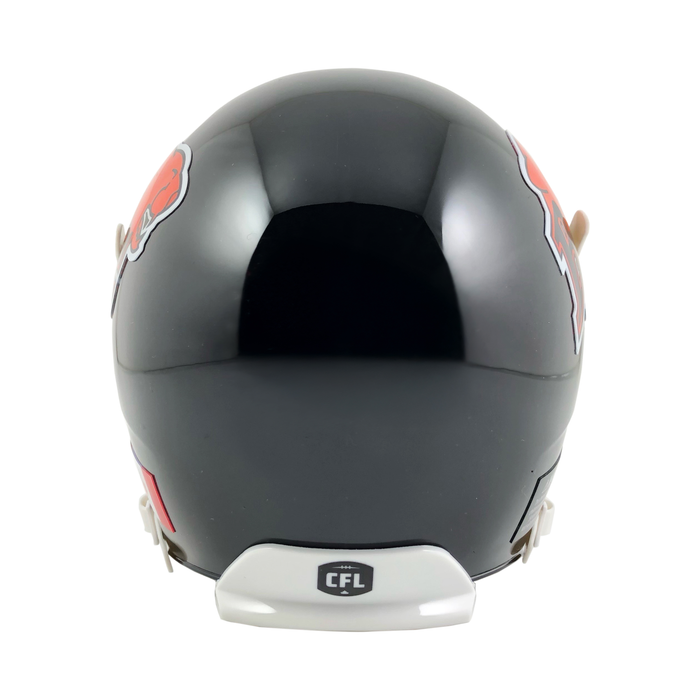CFL BC Lions  Mini Replica Helmet
