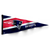 NFL New England Patriots Collector Pennant