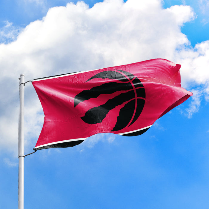 NBA Toronto Raptors 3x5 Wall Flag