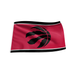 NBA Toronto Raptors 3x5 Wall Flag