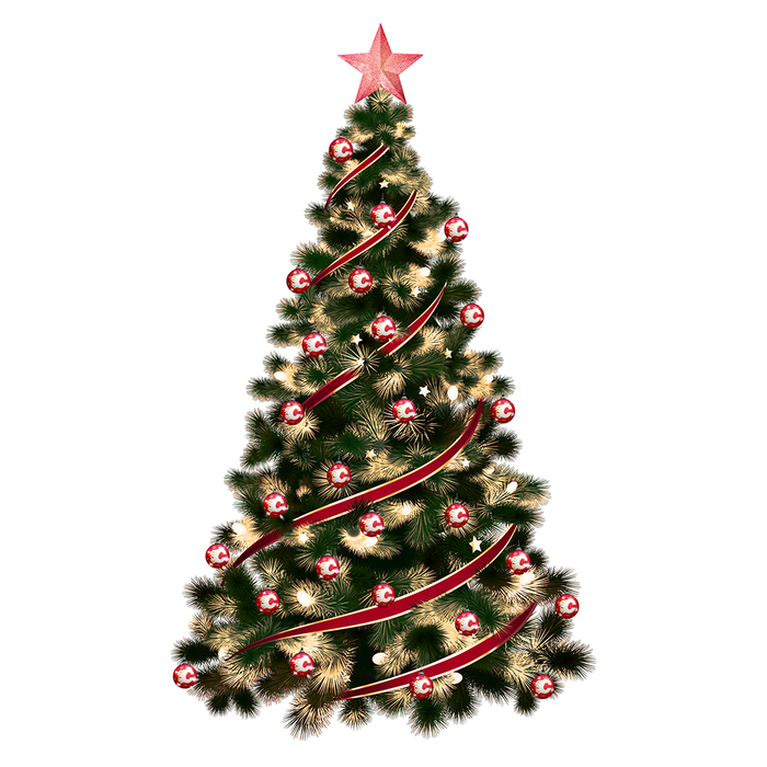 NHL Calgary Flames Light-Up Ornament 2-Pack