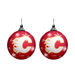 NHL Calgary Flames Light-Up Ornament 2-Pack