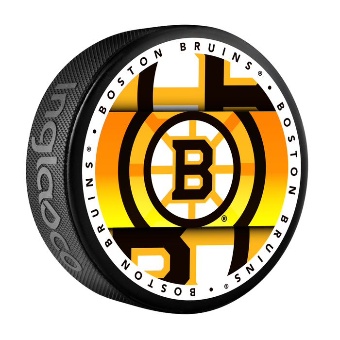 NHL Boston Bruins Medallion Souvenir Collector Hockey Puck