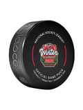 2025 NHL Winter Classic Official Game Puck Design- in Cube