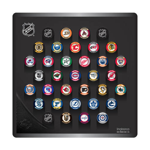 NHL Mini Hockey Puck Wall Plaque. All NHL 32 Team Retro Souvenir Collector Mini Pucks + 3 NHL Shield Mini Pucks
