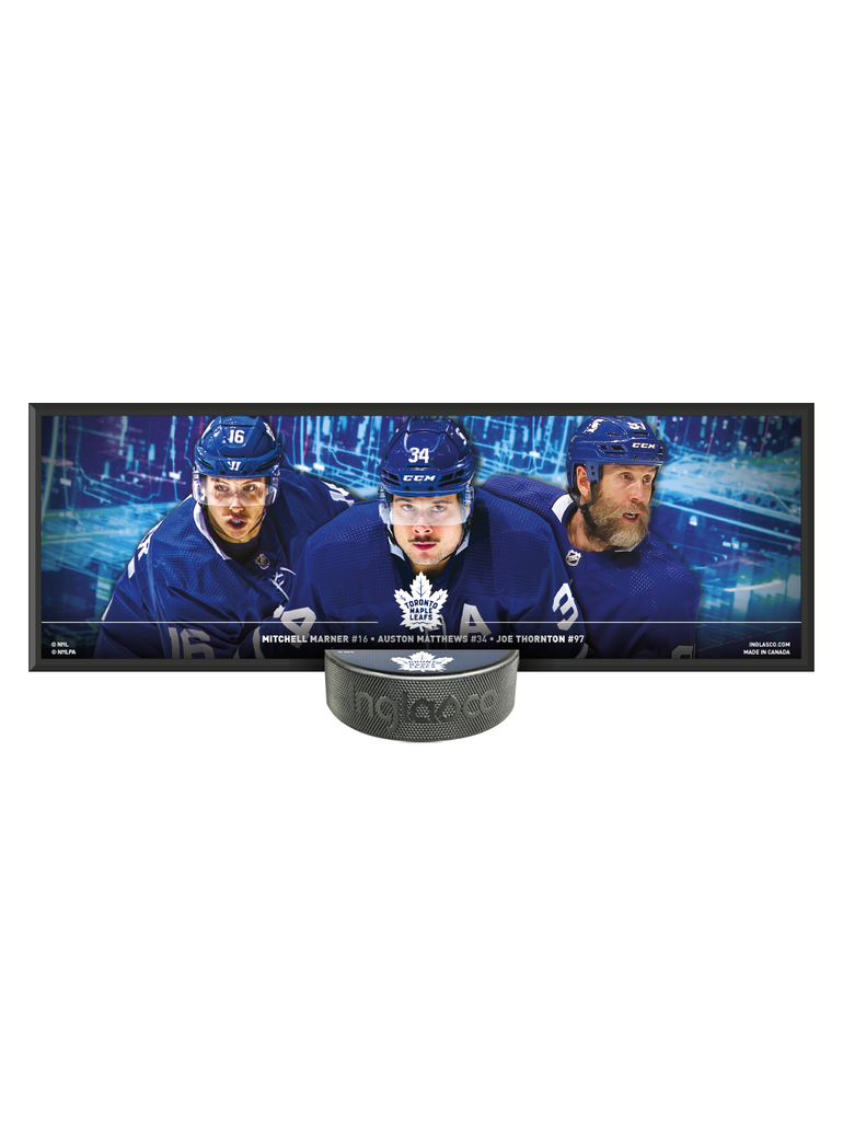 NOW 50% OFF!! NHLPA Toronto Maple Leafs Trio Deco Plaque And Hockey Puck Holder