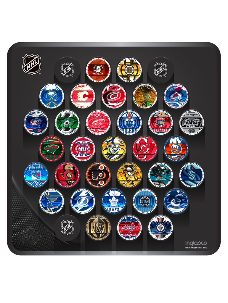 NHL Hockey Puck Wall Plaque. All 32 NHL Team Medallion Souvenir Collector Pucks + 3 NHL Shield Hockey Pucks