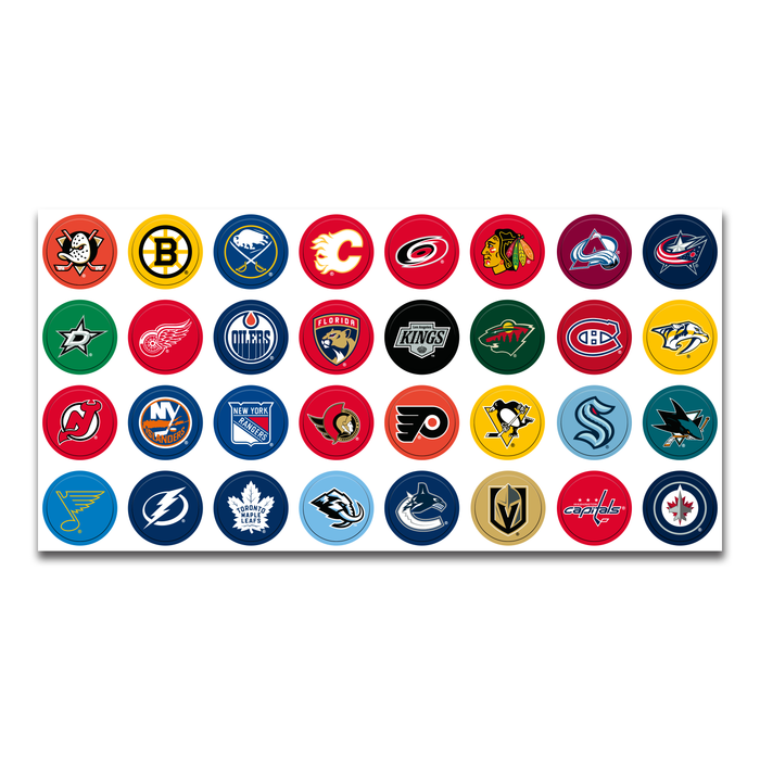 NHL Magnetic Standing Board