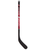 NHL Detroit Red Wings Composite Player Mini Stick- Left Curve