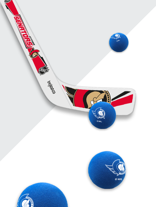 NHL Ottawa Senators Rapid Fire Set