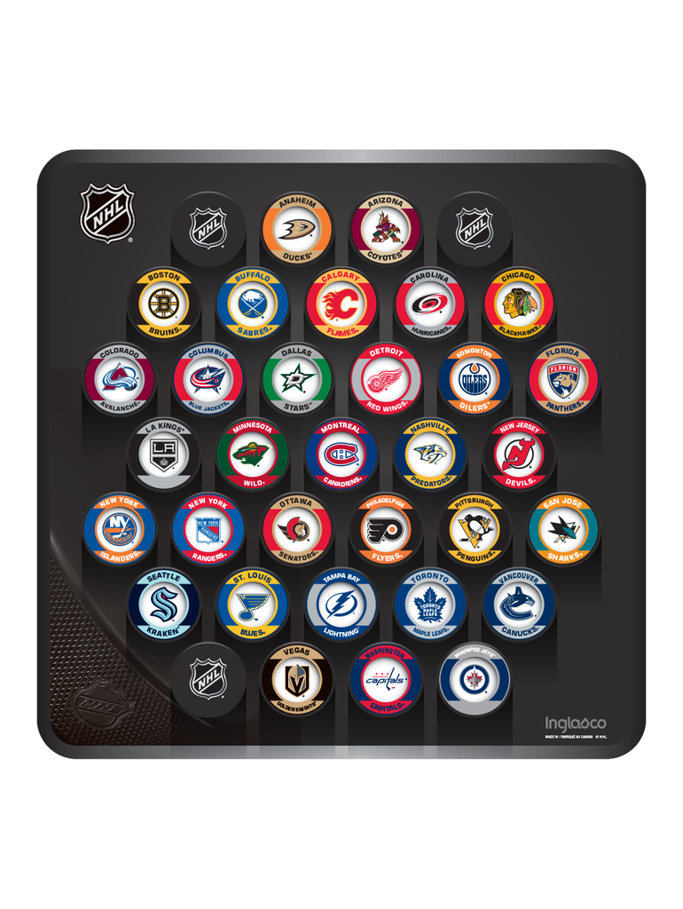 NHL Hockey Puck Wall Plaque. All 32 NHL Team Retro Souvenir Collector Pucks + 3 NHL Shield Hockey Pucks
