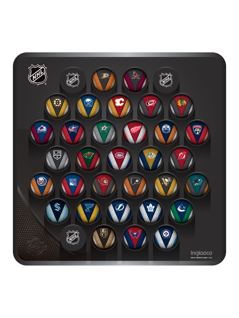 NHL Hockey Puck Wall Plaque. All 32 NHL Team Stitch Souvenir Collector Pucks + 3 NHL Shield Hockey Pucks